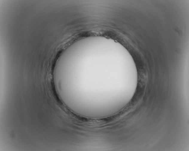 X0000113220707200909100923