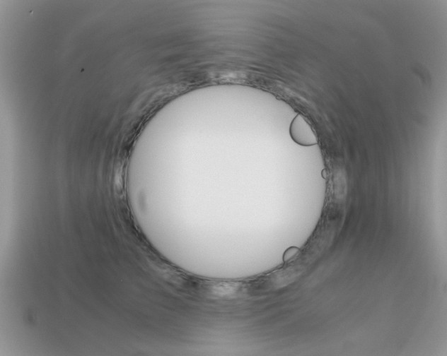 X0000113220709200909100923