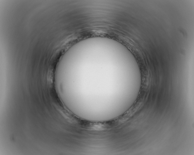 X0000113220710200909100923