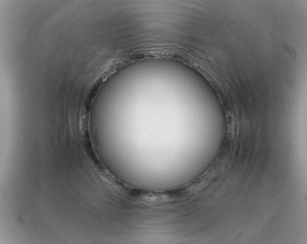 X0000113220712200909100922