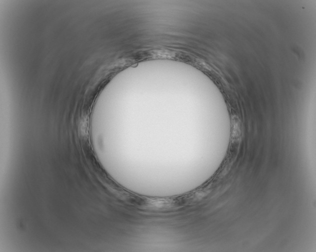X0000113220713200909100922