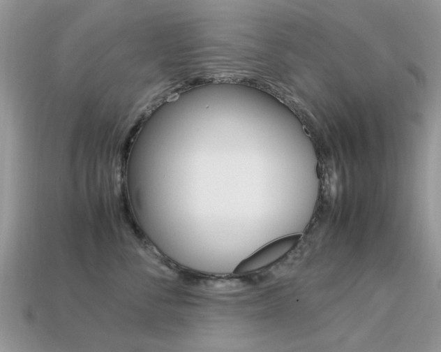 X0000113220716200909100922