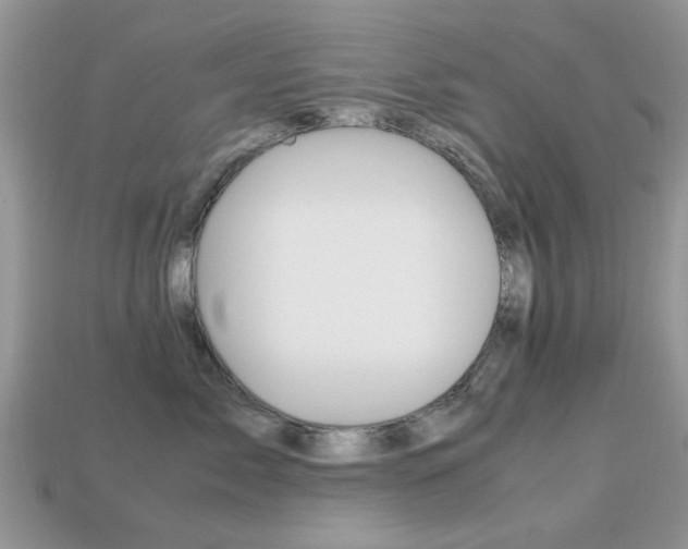 X0000113220717200909100922