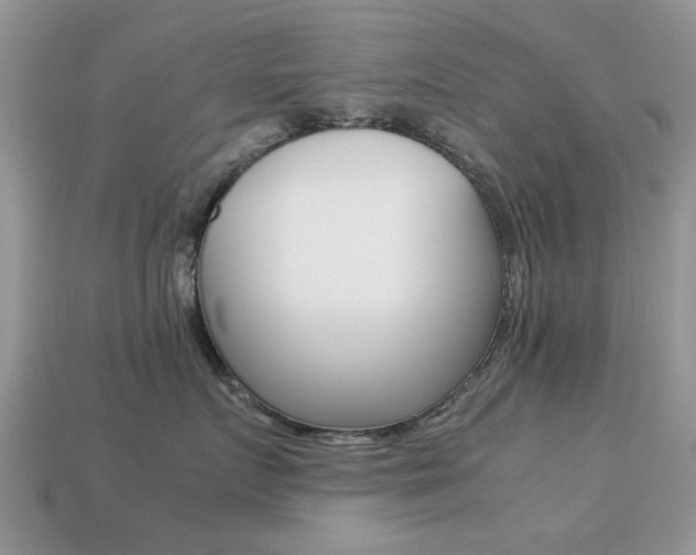 X0000113220719200909100922