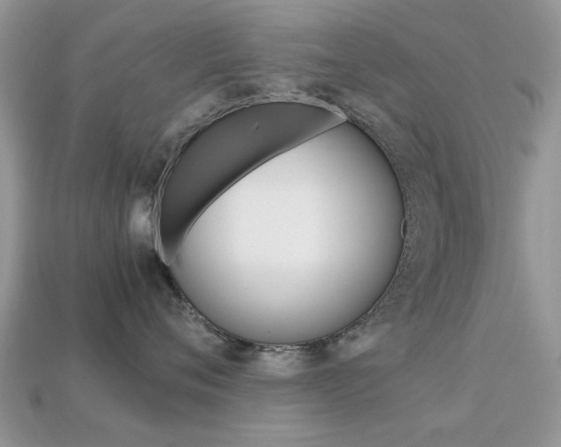 X0000113220720200909100922