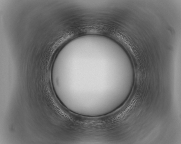 X0000113220721200909100922