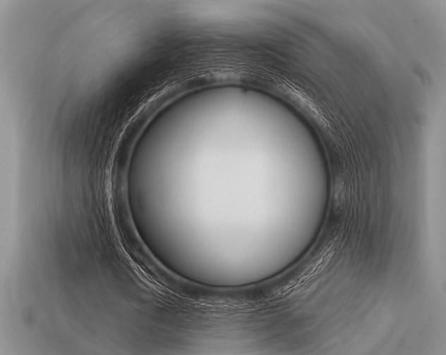 X0000113220722200909100922