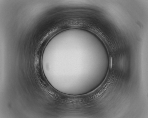 X0000113220723200909100922