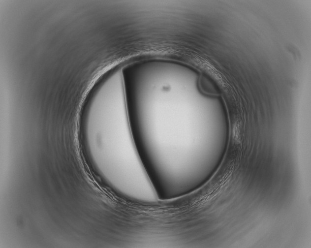 X0000113220724200909100922