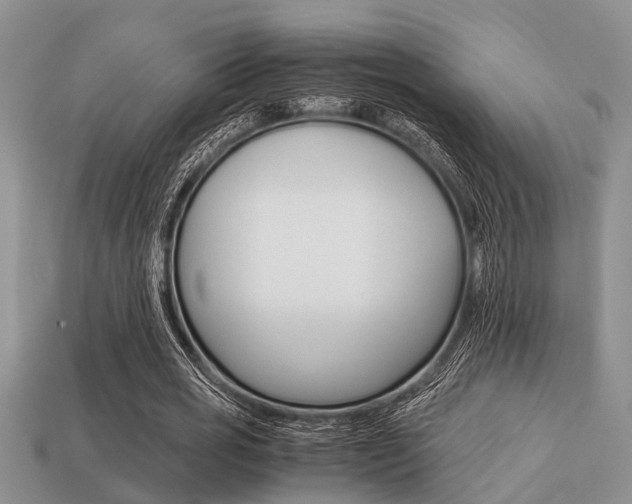 X0000113220725200909100922
