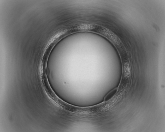 X0000113220726200909100922