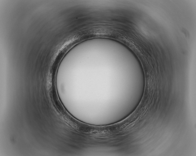 X0000113220727200909100922