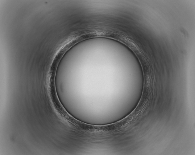 X0000113220730200909100922