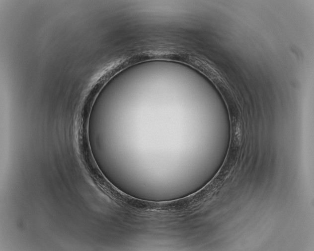 X0000113220732200909100922