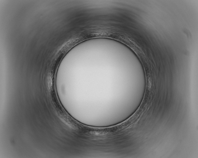 X0000113220733200909100922