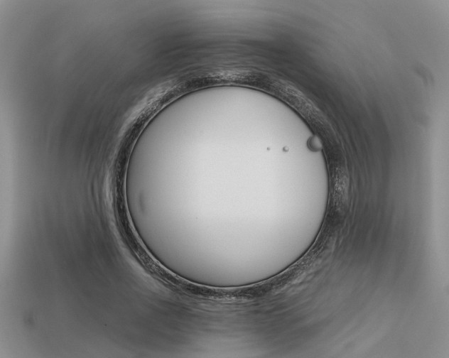 X0000113220734200909100922