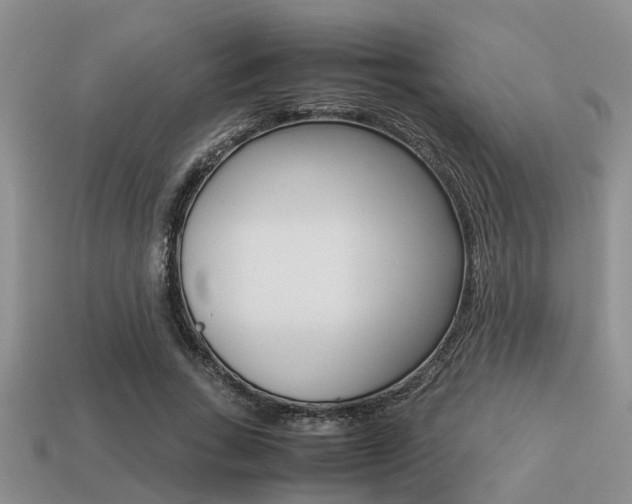 X0000113220735200909100922