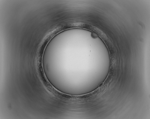 X0000113220736200909100922