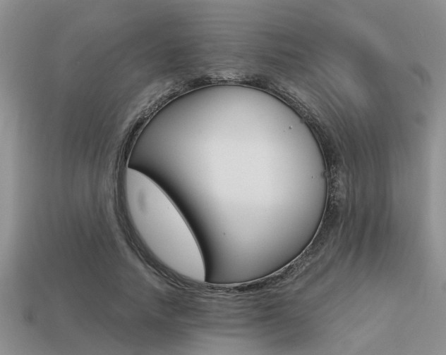 X0000113220738200909100922