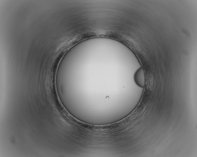 X0000113220740200909100922
