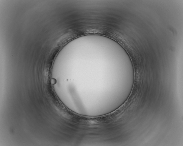 X0000113220741200909100922