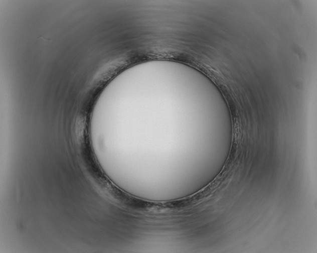 X0000113220742200909100922