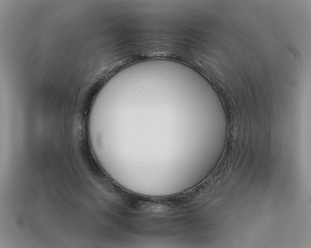 X0000113220743200909100922