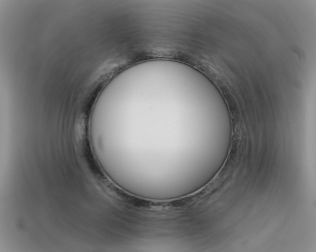 X0000113220744200909100922