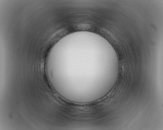 X0000113220745200909100922