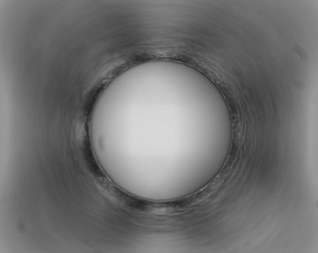 X0000113220746200909100922
