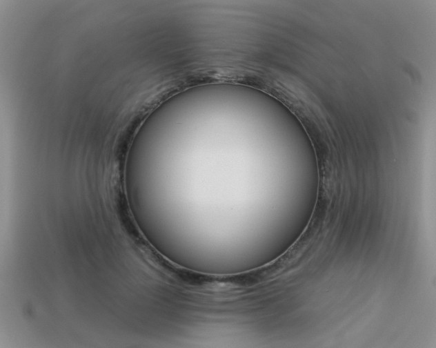 X0000113220748200909100922