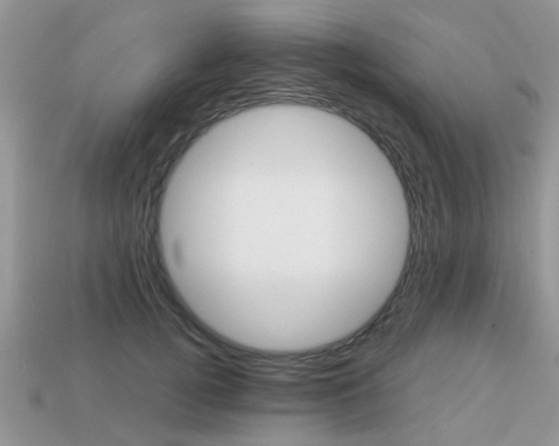 X0000113220752200909100922