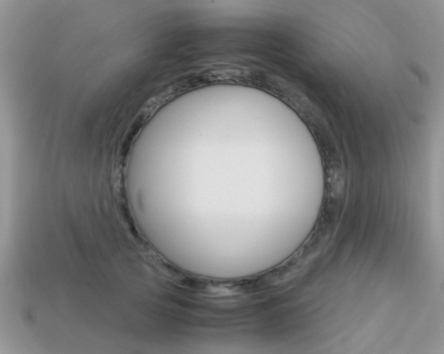 X0000113220753200909100922