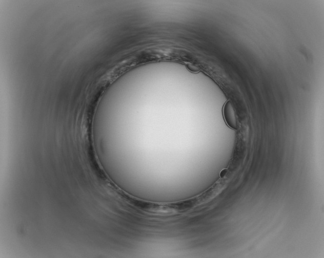 X0000113220754200909100922