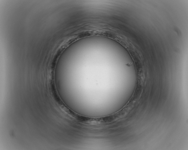 X0000113220756200909100922