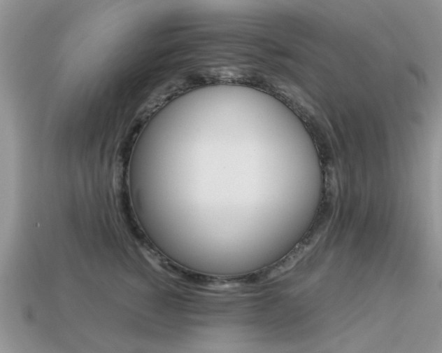 X0000113220760200909100922