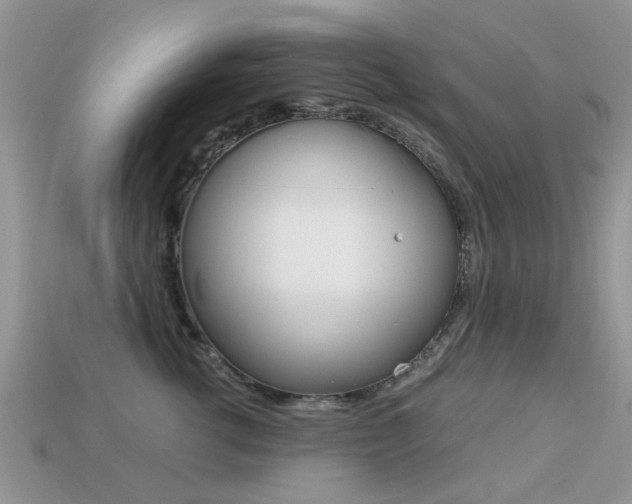 X0000113220762200909100922