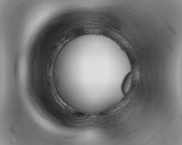 X0000113220764200909100922