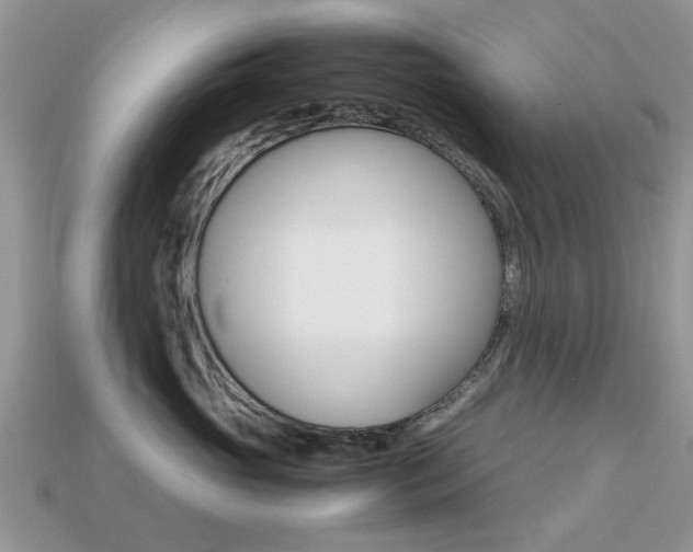 X0000113220765200909100922