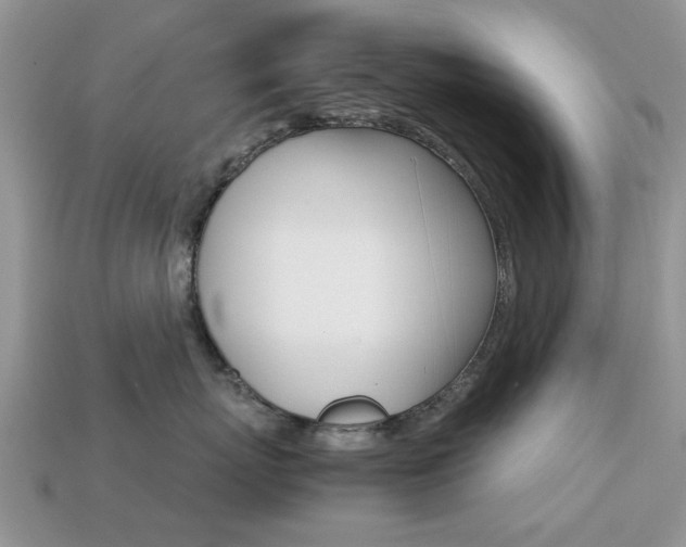 X0000113220767200909100922