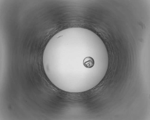 X0000113220768200909100922