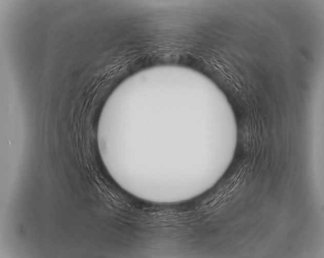 X0000113220769200909100922
