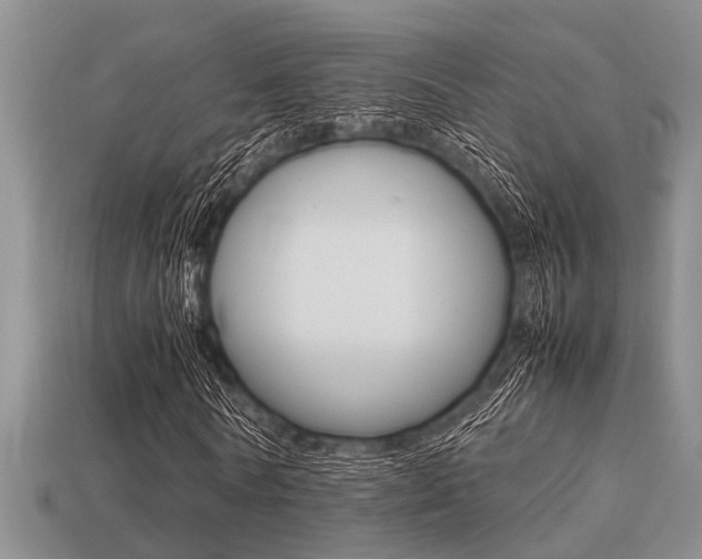 X0000113220770200909100922