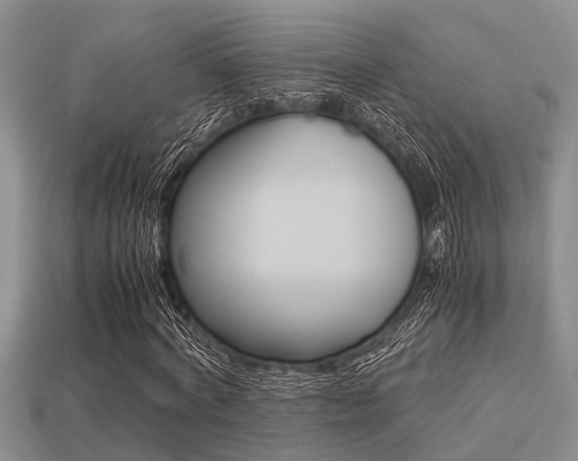X0000113220772200909100922