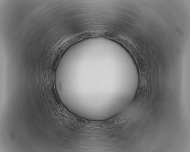 X0000113220773200909100922