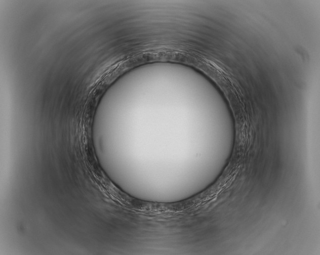 X0000113220774200909100922