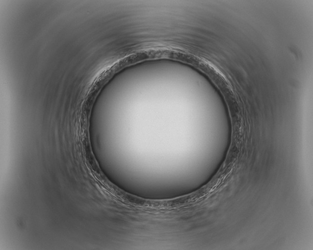 X0000113220775200909100922