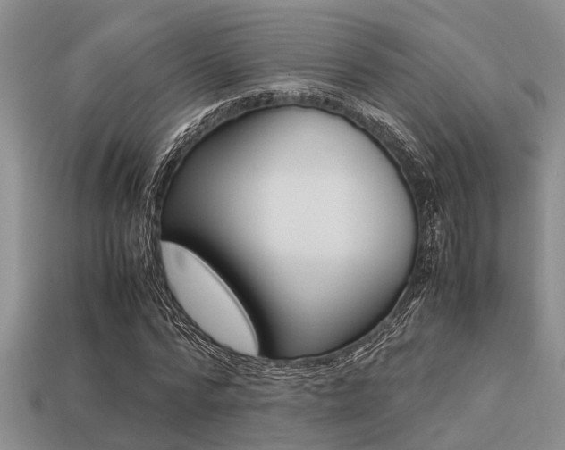 X0000113220776200909100922