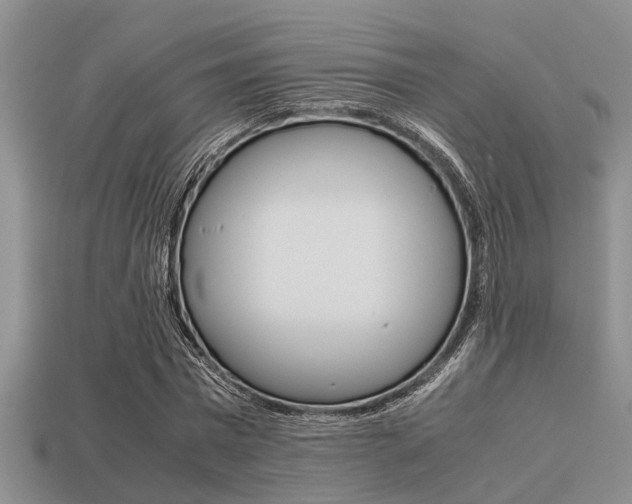 X0000113220777200909100922