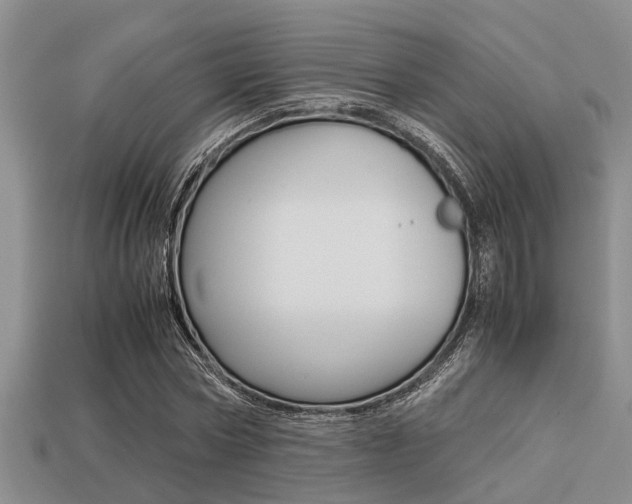 X0000113220778200909100922
